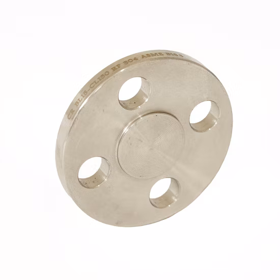 B16.9 JIS B2311 DIN2605 Brida de acero inoxidable Brida ciega forjada Brida de gafas
